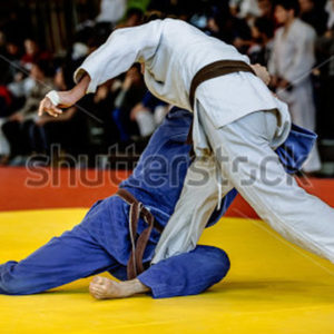 Adults competing in Judo Tournements